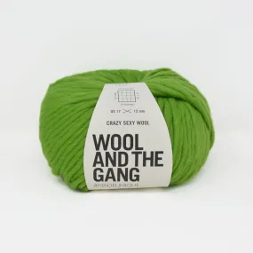 Crazy Sexy Wool - Wonderland Green