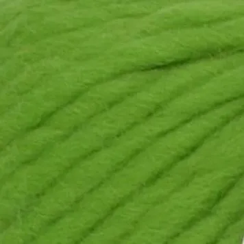 Crazy Sexy Wool - Wonderland Green