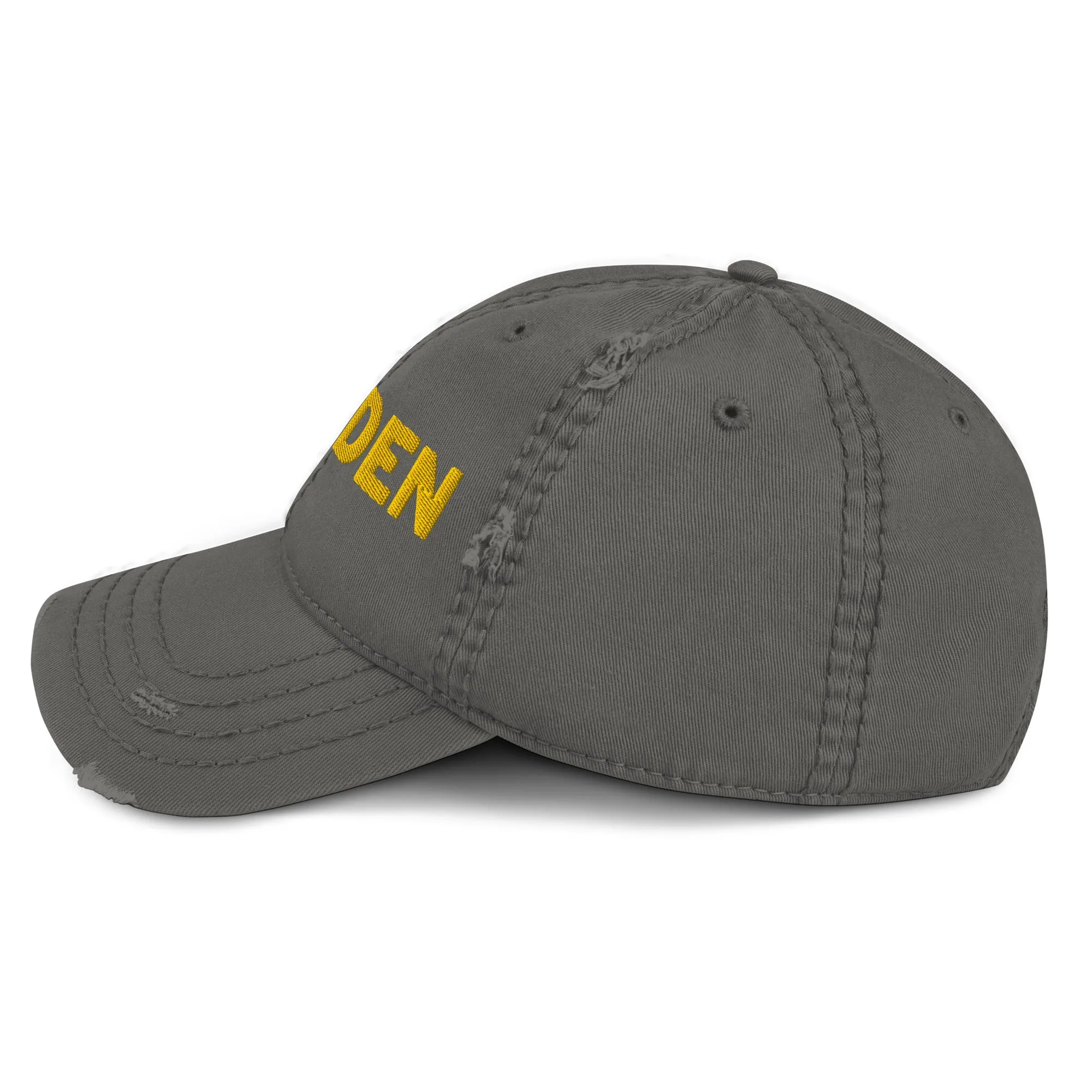 Wear Your Shine Distressed Dad Hat